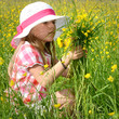 Auf der Blumenwiese