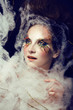 butterfly make up