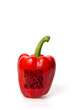 Paprika mit QR Code