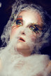 butterfly make up