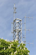 Antenna trasmittente camuffata
