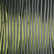 Photo: Vertical Striped Glass Vertical Striped Glass