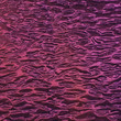 Photo: Purple pink Square Purple pink Square