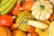 Foto: Bunte Kürbisse, Herbstmarkt, cucurbita, herbstlich, Saison Bunte Kürbisse, Herbstmarkt, cucurbita, herbstlich, Saison