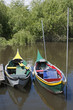 Green and yellow Bateira boats Green and yellow Bateira boats