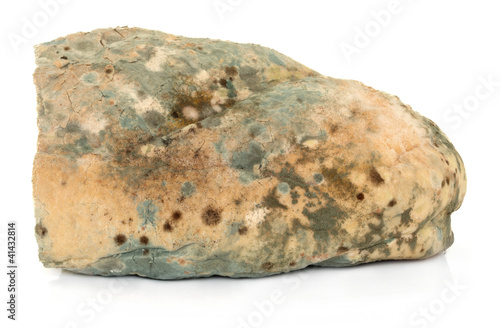 Photo: Mould on Bread Mould on Bread
