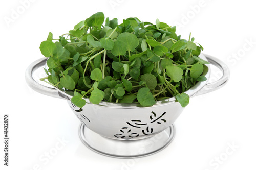 Photo: Watercress Watercress