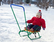 Photo en ligne au meilleur prix toddler on sled  in winter