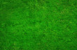 dirty grass