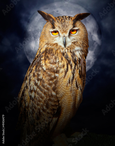Photo: Bubo bubo eagle owl night bird full moon Bubo bubo eagle owl night bird full moon