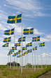 Swedish flag