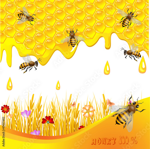Vector: Floral background with honey and bees Floral background with honey and bees