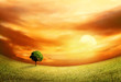Beautiful Landscape