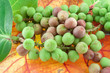 A fényképek részletei raisin bord de mer, Coccoloba uviferagr