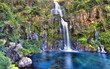 Végétation sauvage au site des Aigrettes, La Réunion. Végétation sauvage au site des Aigrettes, La Réunion.