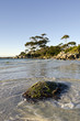 Bay of Fires late light landscape, Tasmania, Australia Bay of Fires late light landscape, Tasmania, Australia