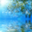 Abstract forest and sun.Reflection in water. Abstract forest and sun.Reflection in water.