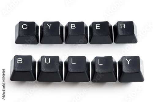 Photo: cyber bully cyber bully