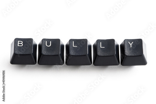 Photo: internet bullying internet bullying