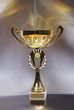 Golden metal prize
