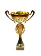 Golden winners cup