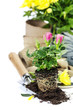 garden tools