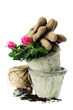 garden tools