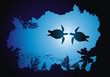 Turtles