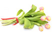 Tulip bouquet