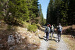Foto: group mountaineers hiking in the forest group mountaineers hiking in the forest