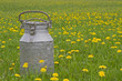 Milchkanne in Blumenwiese