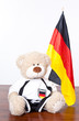 fussball fan