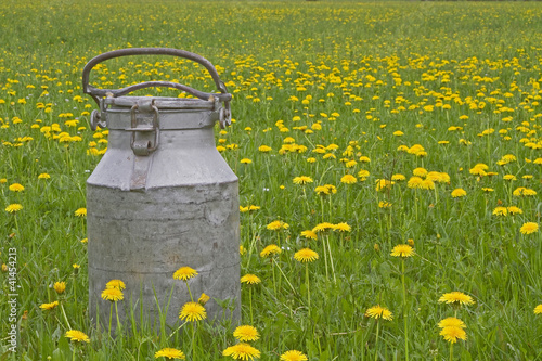 Foto: Milchkanne in Blumenwiese Milchkanne in Blumenwiese