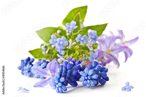 Photo: spring bouquet spring bouquet