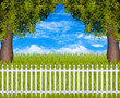 My sweet summer garden