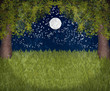 My sweet moonlight garden