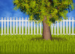 Green summergarden with fence and tree