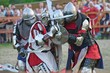 fighting knights