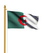 dz flag