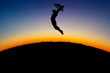 silhouetted girl jumps with umbrella in sunset silhouetted girl jumps with umbrella in sunset