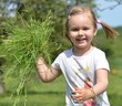 bébé avec herbes bébé avec herbes