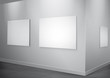 White gallery interior with lighting frames on wall