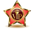 Gold star with a VIP.Vector
