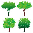 four trees in grunge