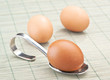 eggs on ecological basis