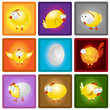 chicken hen egg set collection chicken hen egg set collection