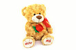 Hug me teddy bear holding a rose gift toy play child