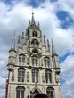 gouda
