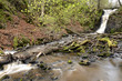 Dageberga's creek