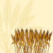 Background with ripe yellow wheat ears, vector illustration.